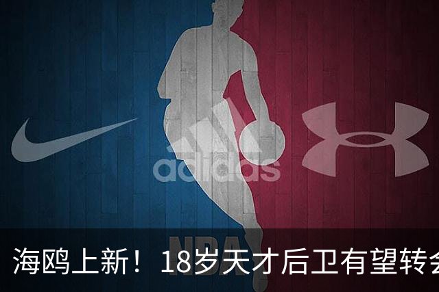 海鸥上新！18岁天才后卫有望转会英格兰，天赋顶级布莱顿要买