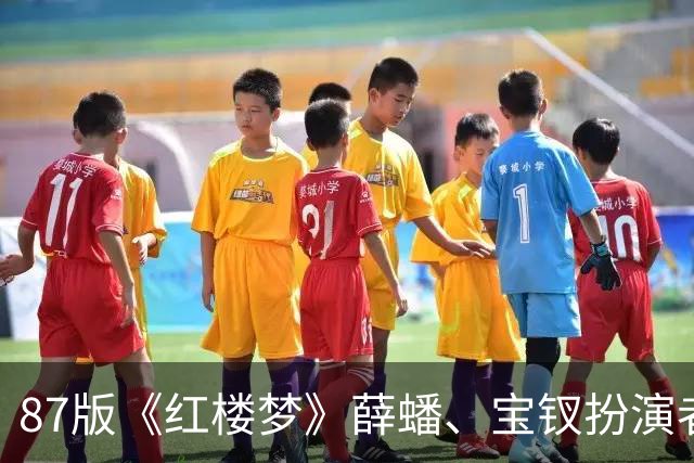 87版《红楼梦》薛蟠、宝钗扮演者发祭文，痛悼“薛姨妈”李凤英辞世