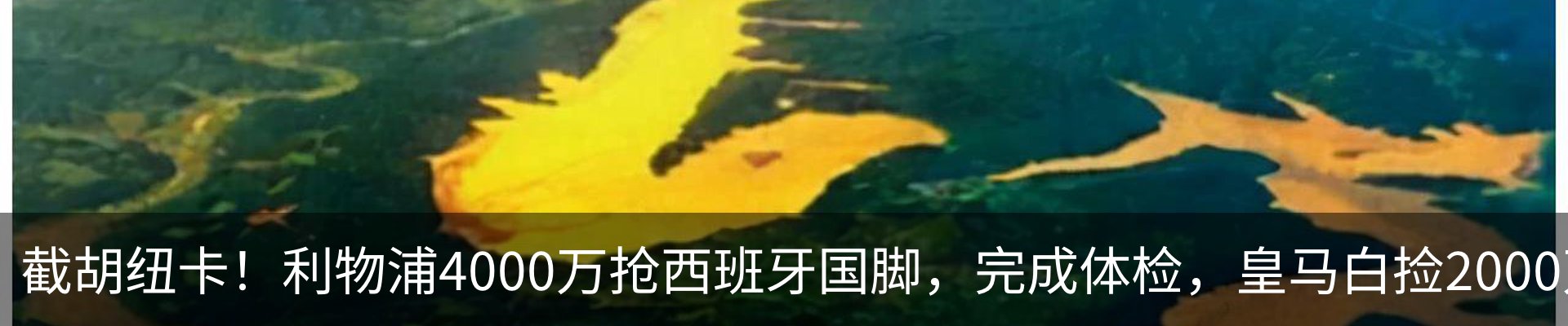 热点资讯