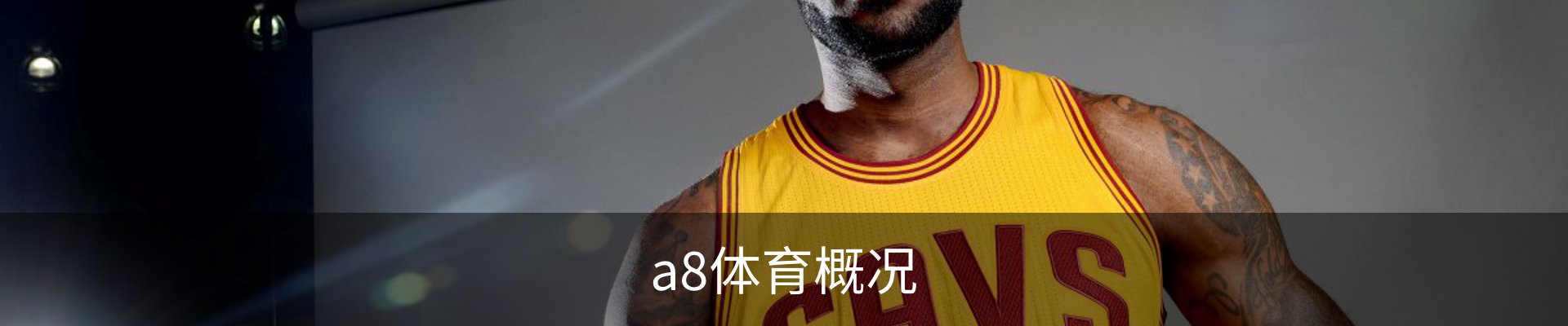 a8体育概况